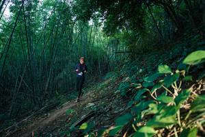 BIB: 
                            <button type="button" onclick="openModal(28124940)" class="btn btn-primary btn-sm float-right btn-popup" data-toggle="modal" data-target=".modal-high-quality">
                        <i class="fas fa-shopping-cart"></i> Add to Cart
                    </button>
                                            <button type="button" onclick="isThisMe(28124940, true)" class="btn btn-success btn-sm float-right btn-popup btn-isme hidden" data-toggle="tooltip" data-placement="bottom" title="นี่คือรูปของคุณใช่ไหม คลิกที่นี่เพื่อเอาเข้าอัลบั้ม">
                        <i class="fas fa-plus"></i> Add to album
                    </button>
                    <button type="button" onclick="isThisMe(28124940, false)" class="btn btn-warning btn-sm float-right btn-popup btn-isnotme hidden">
                        <i class="fas fa-ban"></i> Remove from album
                    </button>